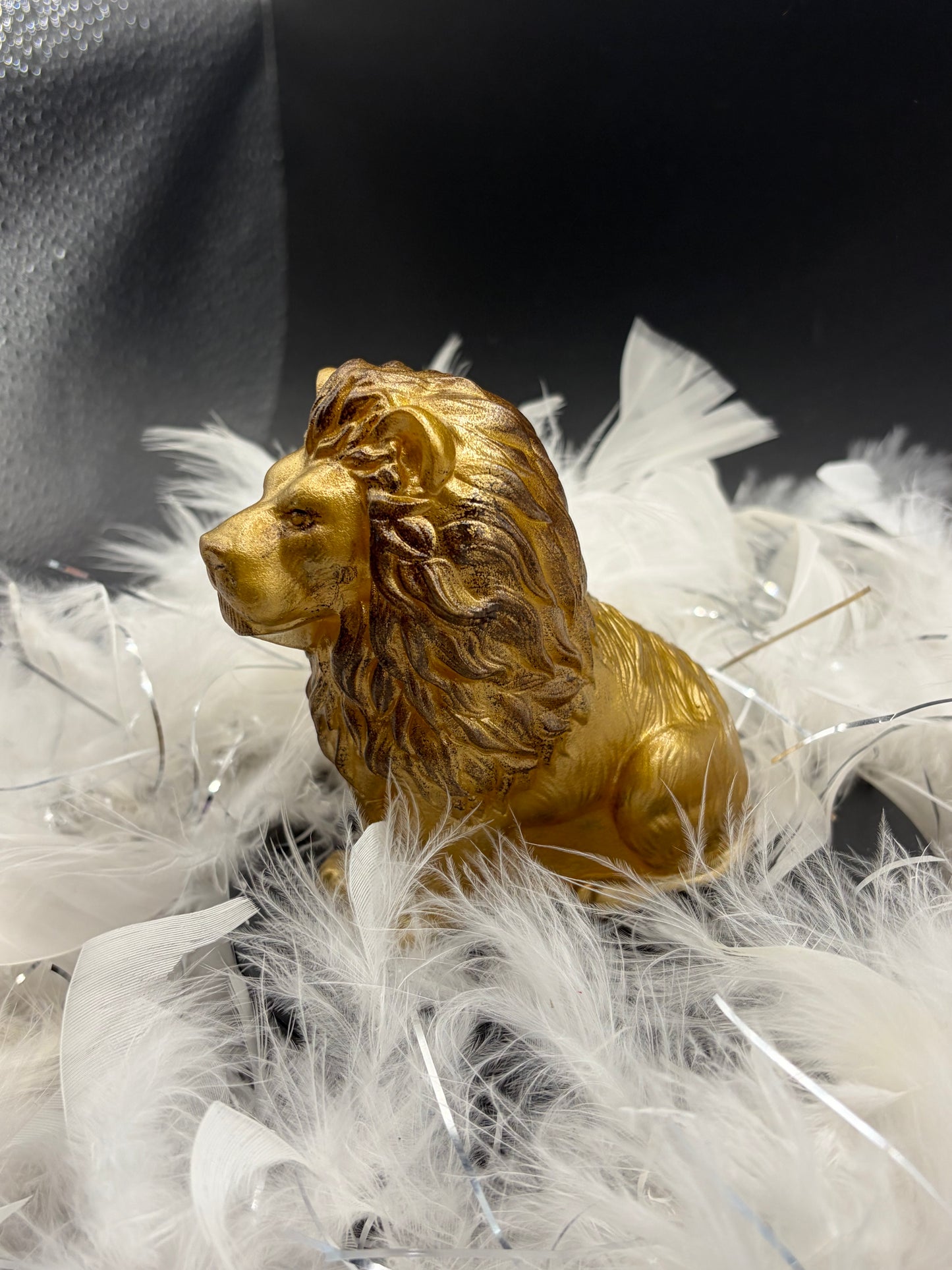 Lion image 3