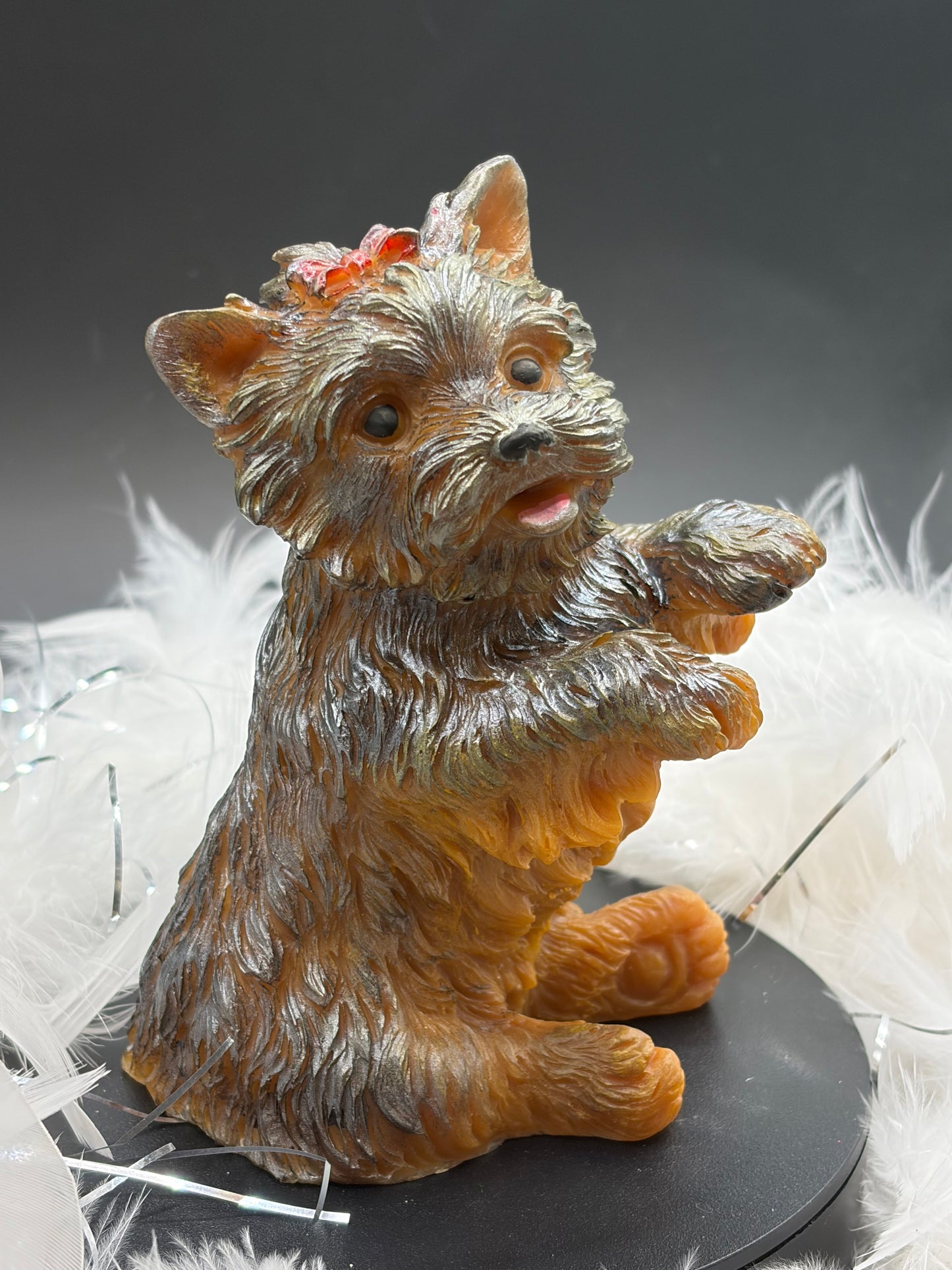 Chien femelle image 2