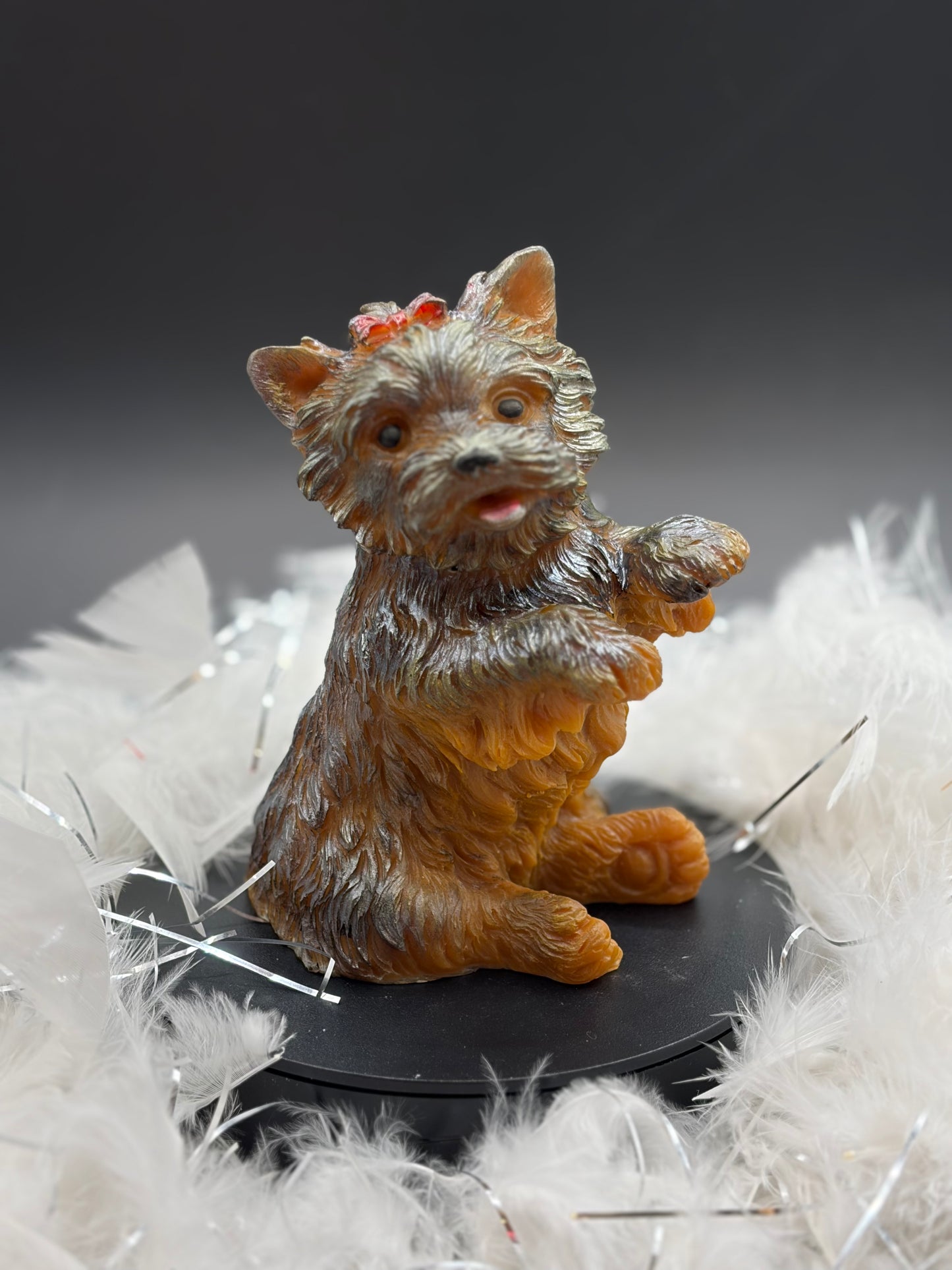 Chien femelle  image 0