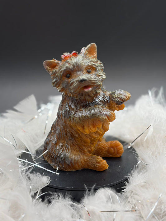 Chien femelle  image 0
