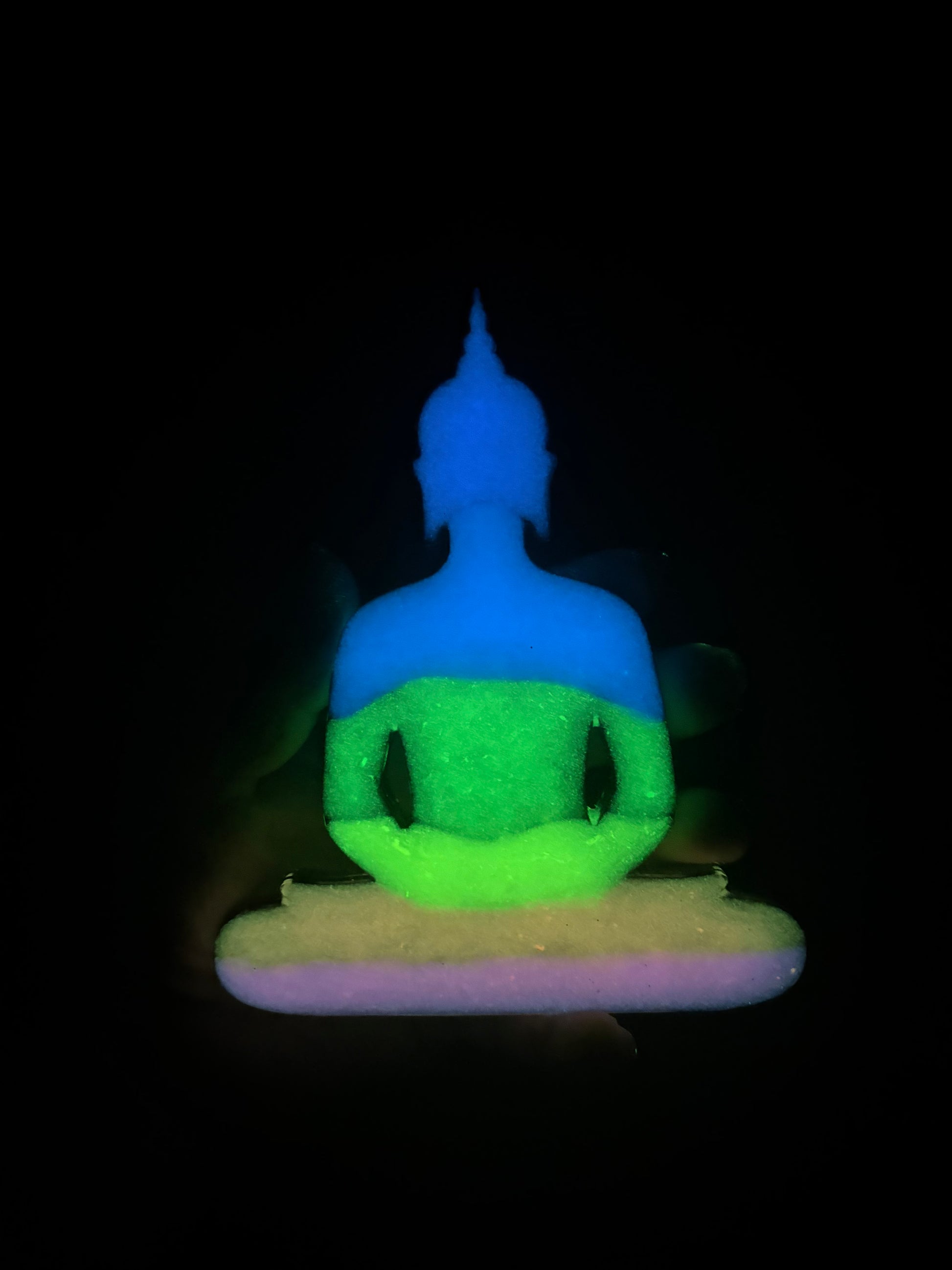 Snowglobe grand bouddha image 3