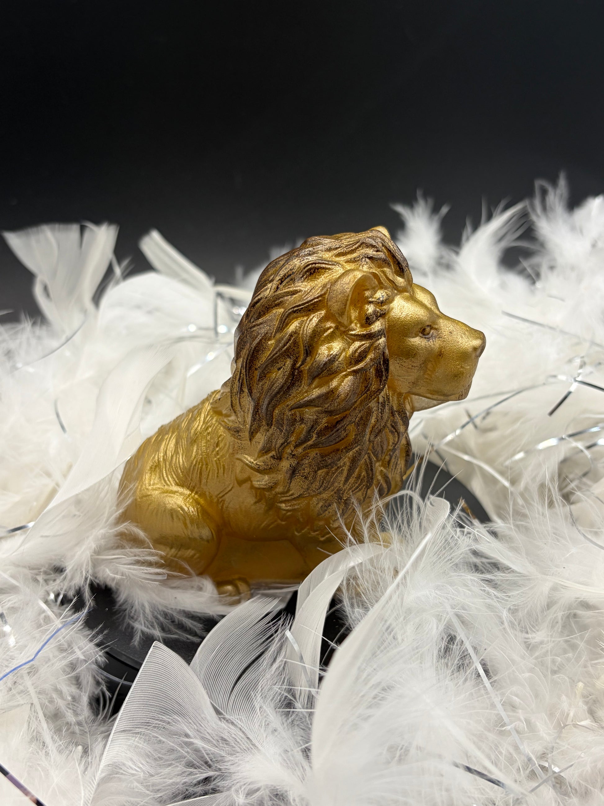 Lion image 1