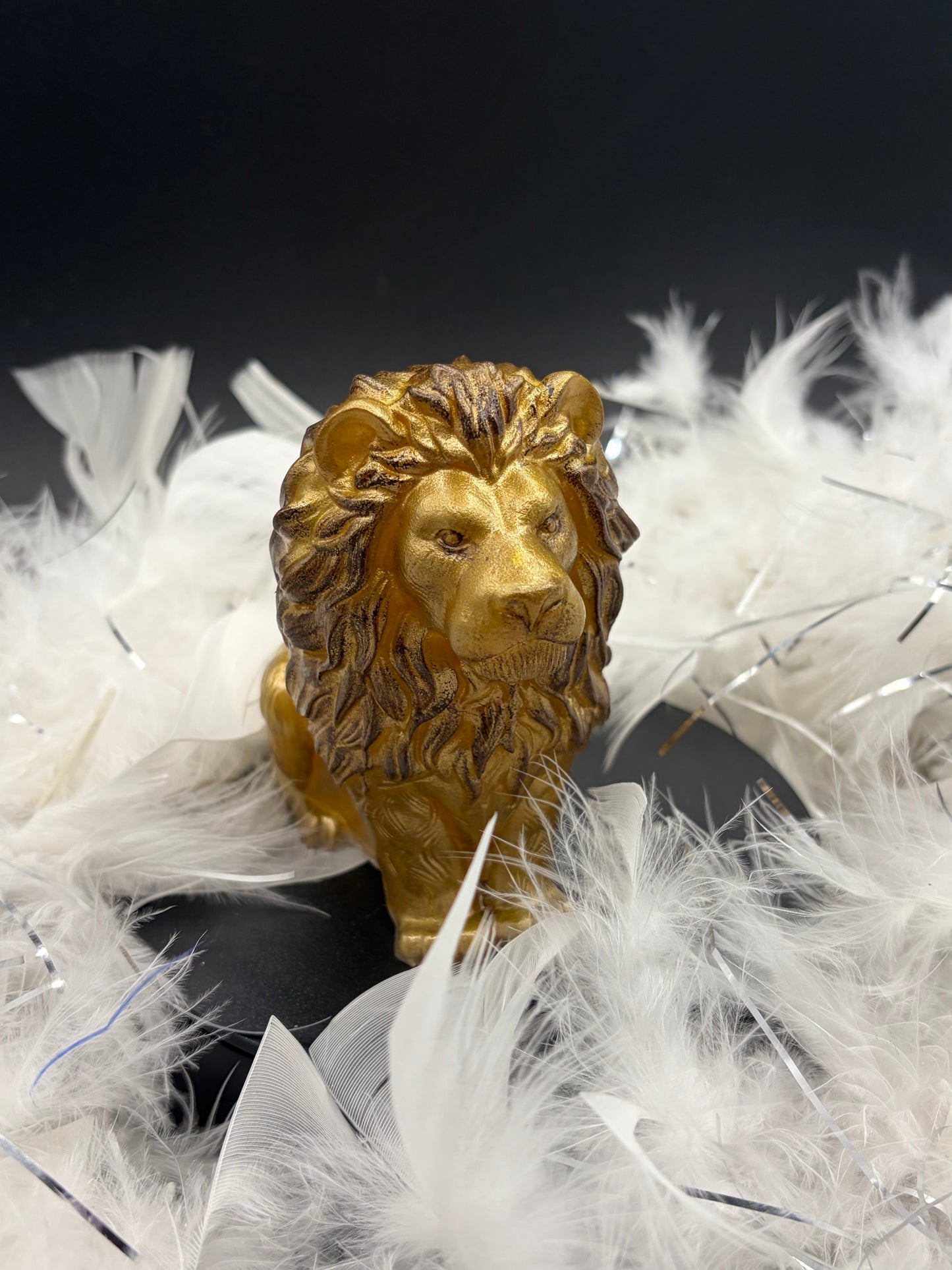Lion image 0