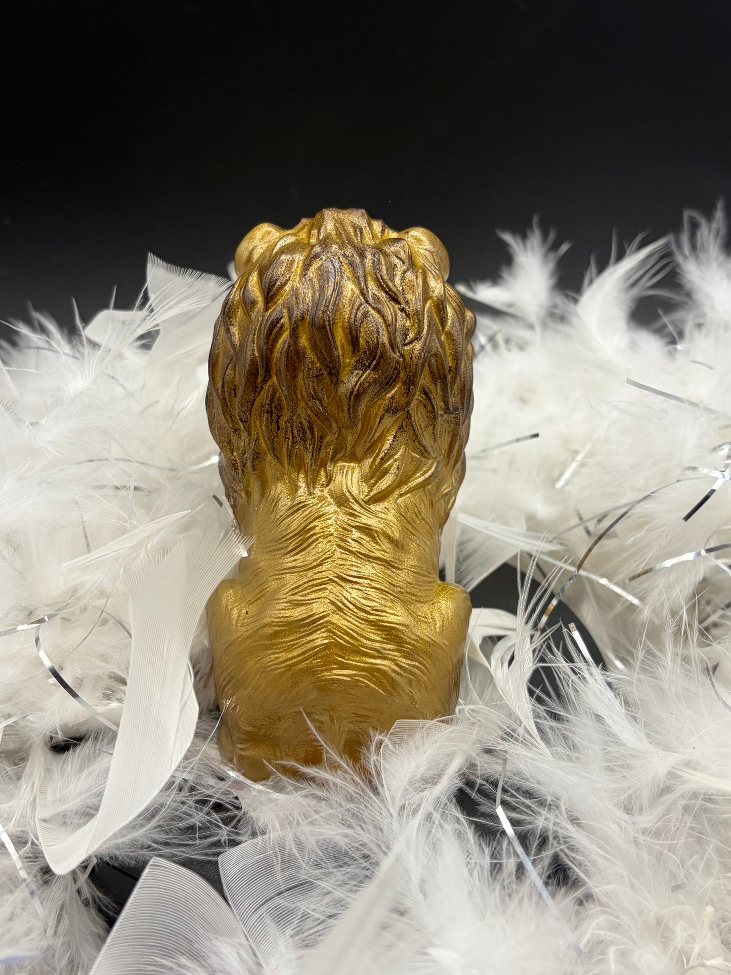 Lion image 2
