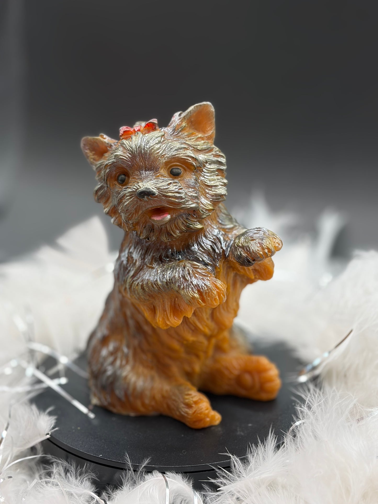 Chien femelle  image 1