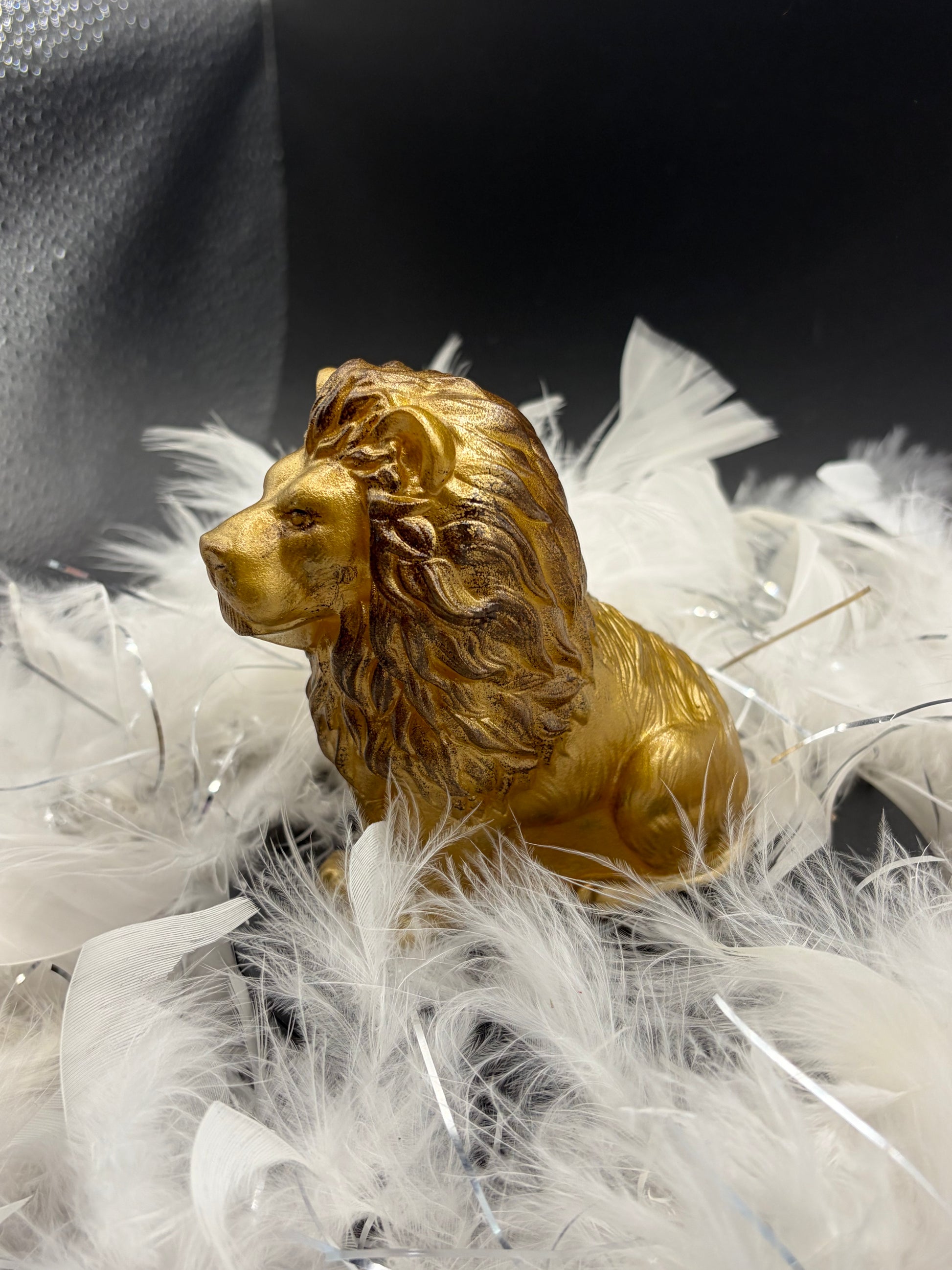 Lion image 3