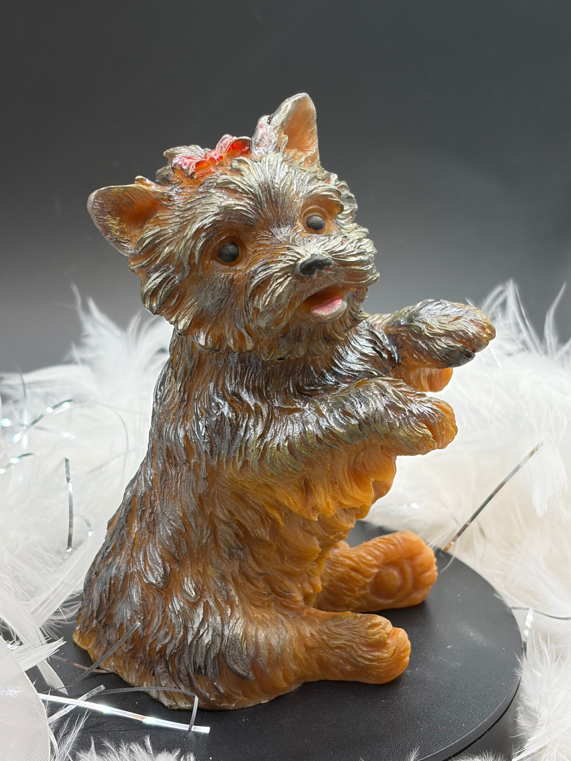 Chien femelle  image 2