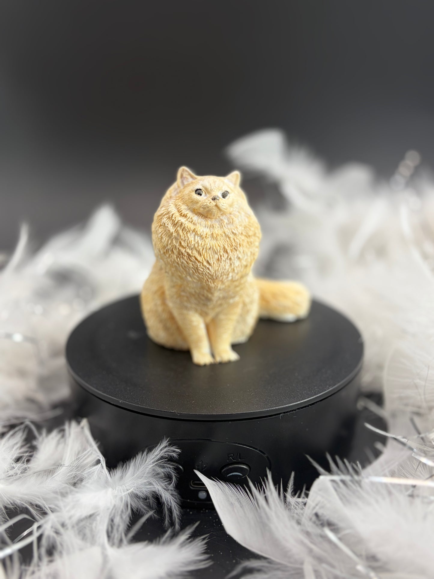 Chat image 0
