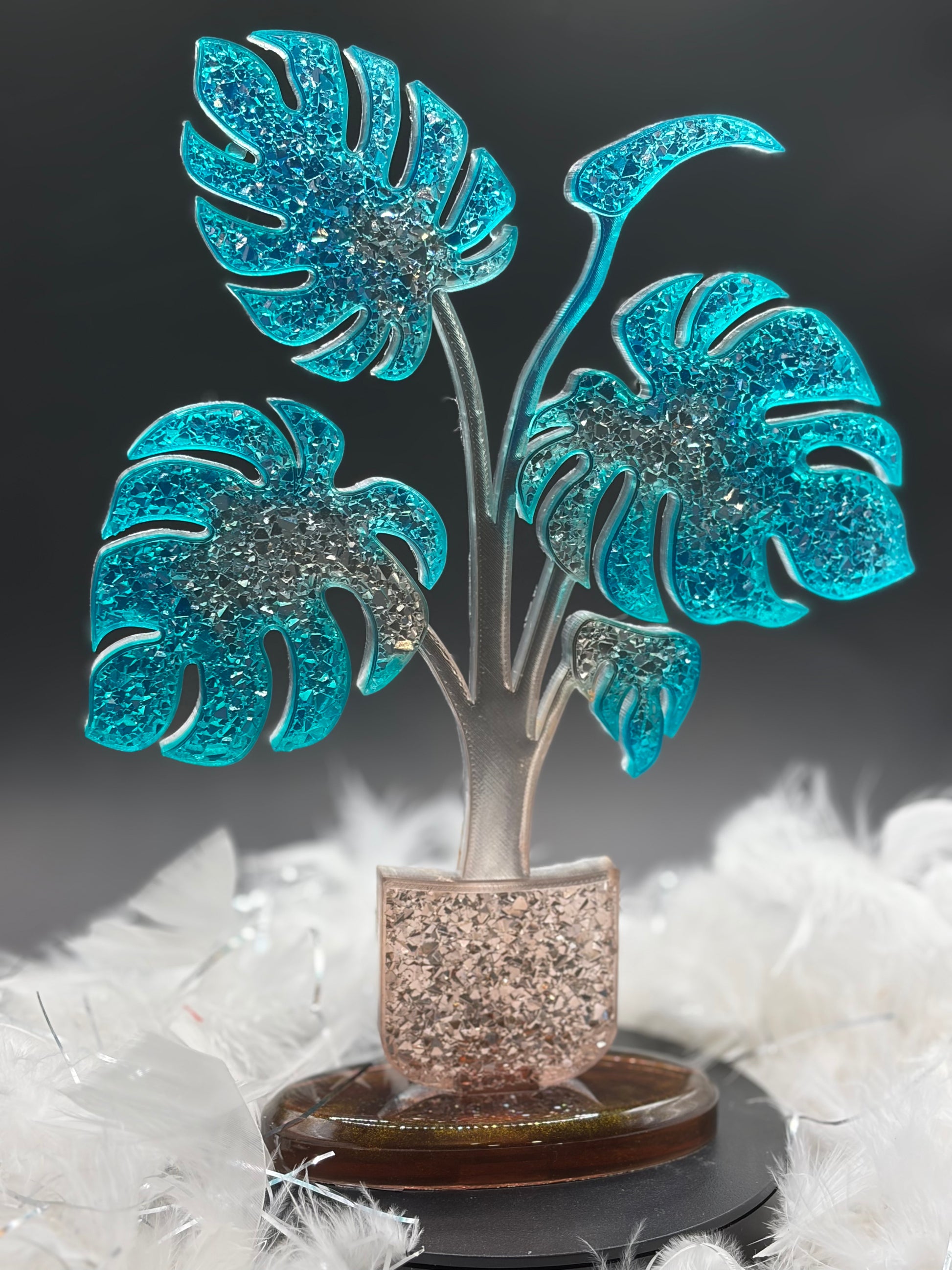 Plante verte image 1